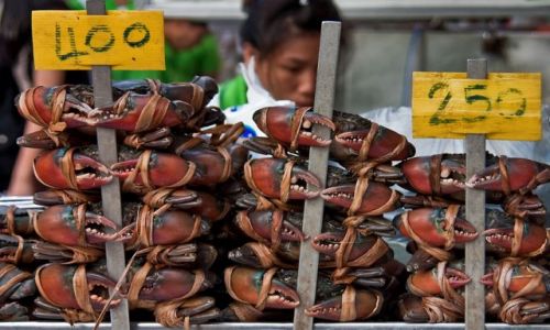 Zdjecie TAJLANDIA / - / Bangkok / na straganie