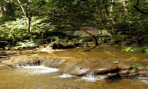 Zdjcie TAJLANDIA / Khao Sok / Dugla / Wodospady Khao Sok