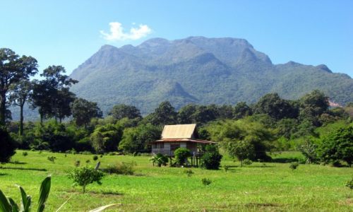 Zdjecie TAJLANDIA / Tajlandia / Chiang Dao / Amazing Thailand