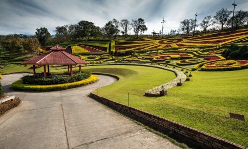 Zdjęcie TAJLANDIA / Chiang Rai / Maesalong / Flower Resort