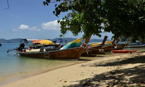 Zdjęcie TAJLANDIA / Krabi / Ko Bu Bu / Plaża