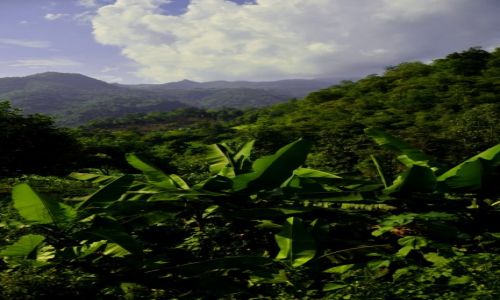 Zdjcie TAJLANDIA / prowincja Chiang Mai  / Dungla / Gdzie w dunglii