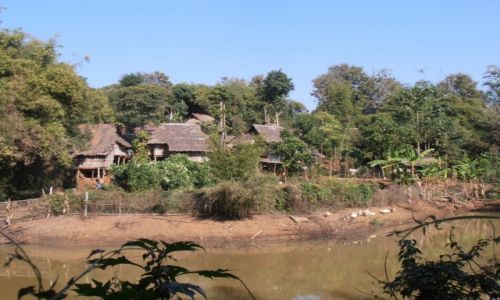 Zdjęcie TAJLANDIA / polnocna tajladia / wioska / wioska plemienia padaung