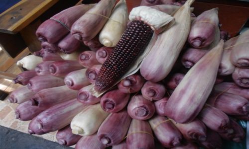 Zdjęcie TAJLANDIA / chiang mai / bazar / fioletowo