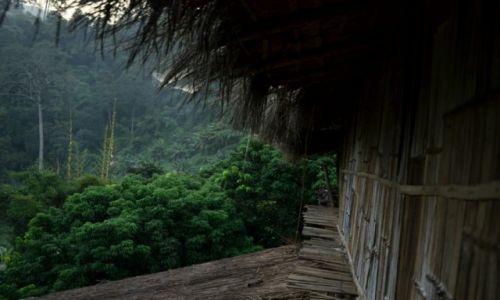Zdjecie TAJLANDIA / prowincja Chiang Mai / Dungla / Chatka w dunglii