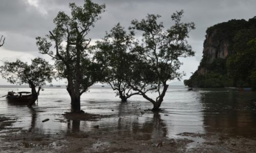 Zdjecie TAJLANDIA / KRABI / RAILAY  BEACH / ODPYW