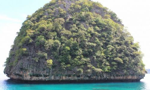 Zdjecie TAJLANDIA / Ko Phi Phi Lee / Ko Phi Phi Lee / Ko Phi Phi Lee