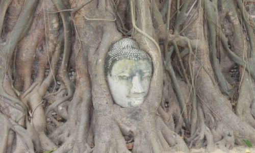 Zdjecie TAJLANDIA / Ayutthaya / Ayutthaya / Buddha