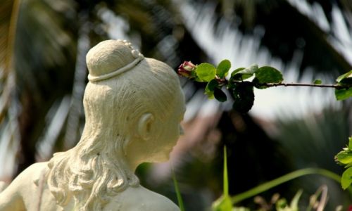Zdjecie TAJLANDIA / Koh Chang / Basen / Gowa