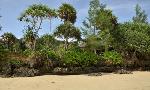 Zdjęcie TAJLANDIA / Krabi / Ko Lanta  / Plaża