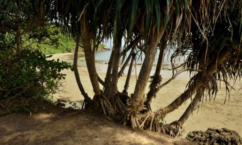 Zdjęcie TAJLANDIA / Krabi / Koh Lanta / Plaża