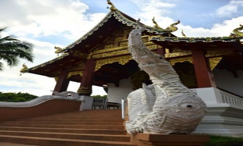 Zdjcie TAJLANDIA / Chiang Mai  /  Chiang Mai / Chiang Mai 