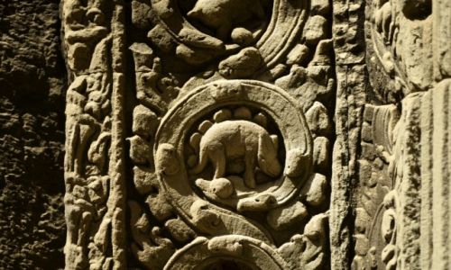 Zdjcie TAJLANDIA / Siem Reap / Ta Prohm / Niby nosoroec, ale ja tam widz dinozaura.