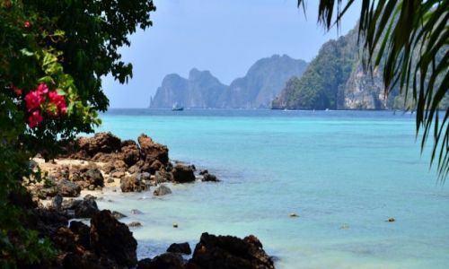 Zdjecie TAJLANDIA / poudniowa Tajlandia, zachodnie wybrzee morza Andamaskiego, prowincja Krabi  / Koh Phi Phi / paradise island