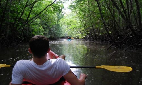 Zdjecie TAJLANDIA / Krabi , 1godz drogi od AoNang / Ao Thalane / Kayaking 