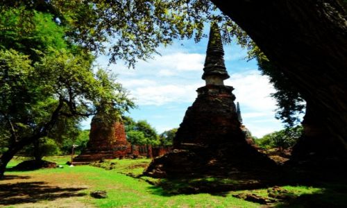 Zdjcie TAJLANDIA / Ayuthaya / Ayuthaya / Miejsce kultu