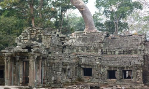 Zdjecie TAJLANDIA / Siem Reap / Angkor / Wok Angkor Wat