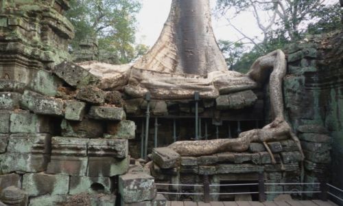 Zdjcie TAJLANDIA / Siem Reap / Angkor / Wok Angkor Wat