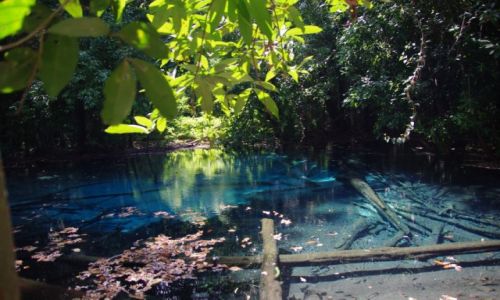 Zdjecie TAJLANDIA / Krabi / Emerald Pool / Blue Pool
