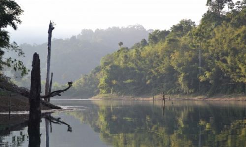 Zdjcie TAJLANDIA / Surat Thani / Khao Sok National Park / Znajd tubylca, czyli dzikie zwierzta w Tajlandii 