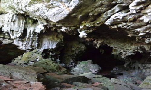 Zdjcie TAJLANDIA / Surat Thani / Khao Sok National Park / Jedna z  jaski do ktrej wchodzilimy. Ta bya pena wy, pajkw i nietoperzy.  