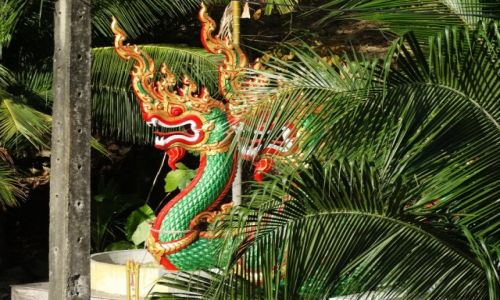 Zdjęcie TAJLANDIA / Phuket / Patong / Smocze weze