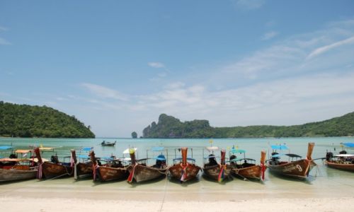 Zdjecie TAJLANDIA / Pucket / Ko Phi Phi / Cisza i spokj