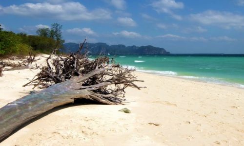 Zdjcie TAJLANDIA / Poda / Poda / Poda Island