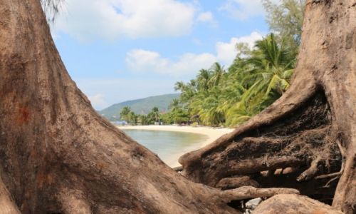 Zdjecie TAJLANDIA / Koh Samui / Koh Samui / Rajska plaza