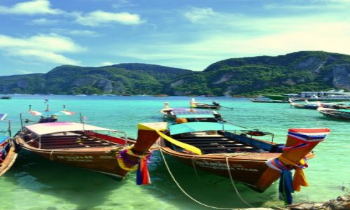 Zdjecie TAJLANDIA / Phuket / Phi Phi Island / W raju