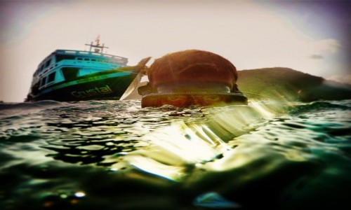 Zdjcie TAJLANDIA / koh Tao / Tajlandia / Nur