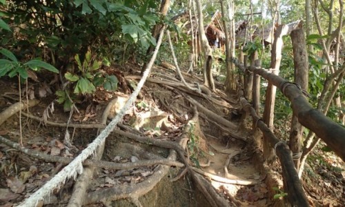 Zdjecie TAJLANDIA / Ko Tao / Las / Droga do