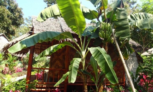 Zdjecie TAJLANDIA / Ko Tao / Las / B&B