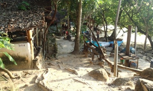 Zdjecie TAJLANDIA / Ko Tao / Las / Podwrze
