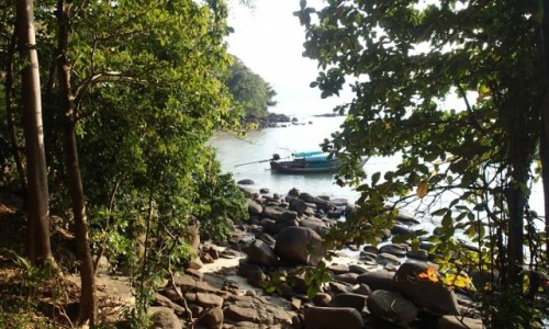 Zdjecie TAJLANDIA / Ko Tao / Las / Poprzez