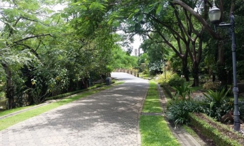 Zdjęcie TAJLANDIA / Bangkok / Chatuchak park / Chatuchak park
