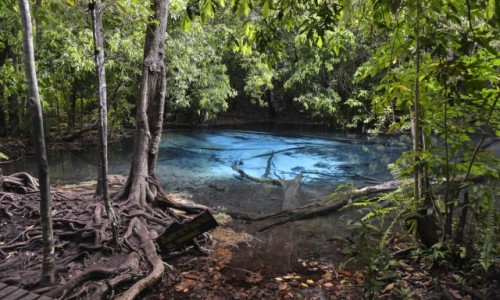 Zdjecie TAJLANDIA / Krabi / park narodowy / oczko 