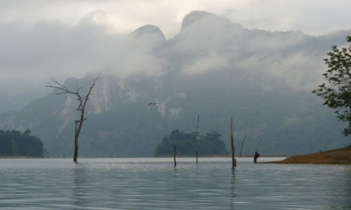 Zdjecie TAJLANDIA / khao sok / dzungla / Taj raj