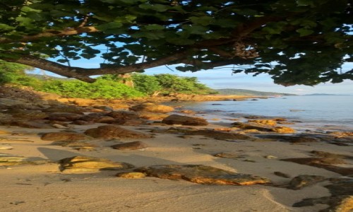Zdjęcie TAJLANDIA / Ko Chang / Ko Chang / Ko Chang