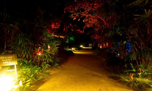 Zdjcie TAJLANDIA / Krabi / Railay Beach / Resort Guest Only