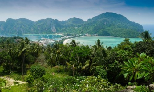 Zdjecie TAJLANDIA / Prowincja Krabi / Koh Phi Phi / Tajlandia