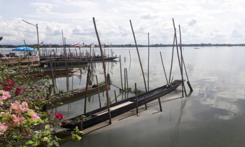 Zdjcie TAJLANDIA / Phayao / Phayao / Na jeziorze 