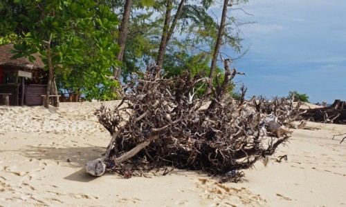 Zdjcie TAJLANDIA / Krabi / Ko Mai Phai / Ko Mai Phai (II)