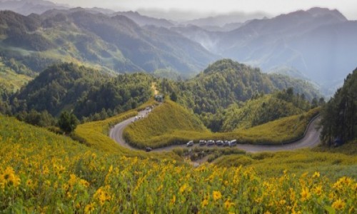Zdjcie TAJLANDIA / Mae Hong Son / Mae Hong Son / Soneczniki meksykaskie
