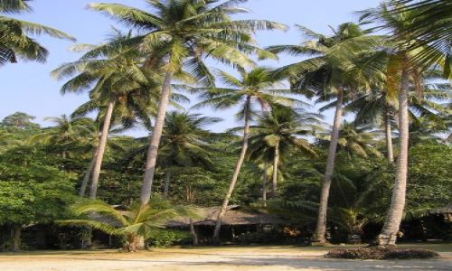Zdjcie TAJLANDIA / ko chang / lonely beach / tak sie mieszka:)
