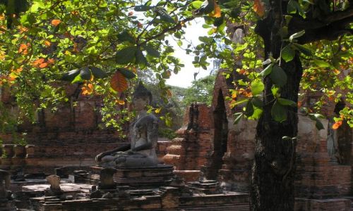 Zdjęcie TAJLANDIA / Ajutthaja /  Wat Phra Mahathat / budda