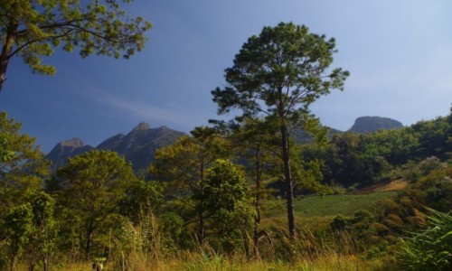 Zdjęcie TAJLANDIA / Północna Tajlandia / Baan View Doi Luang Chiang Dao / Trochę jak w Polsce