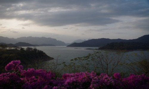 Zdjecie TAJLANDIA / prowincja Surat Thani / Ratchaprapha Dam / Ratchaprapha Dam