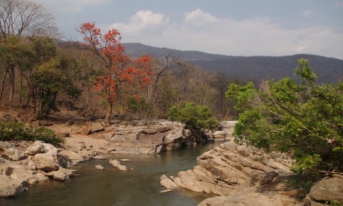 Zdjcie TAJLANDIA / prowincja Chiang Mai / Op Luang National Park / Op Luang National Park