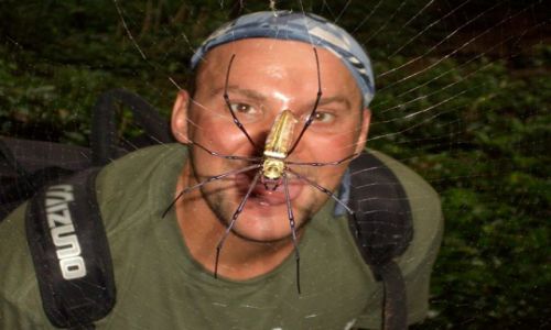 Zdjecie TAJLANDIA / Krabi / Tajlandia / Pajak 